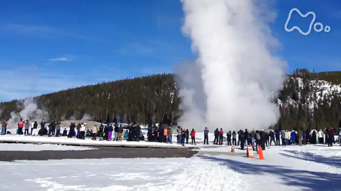 極寒!イエローストーン アメリカ 熱水の大地