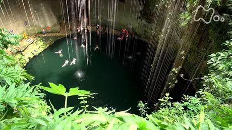 聖なる泉セノーテ　マヤの地下世界を行く～メキシコ　ユカタン半島～