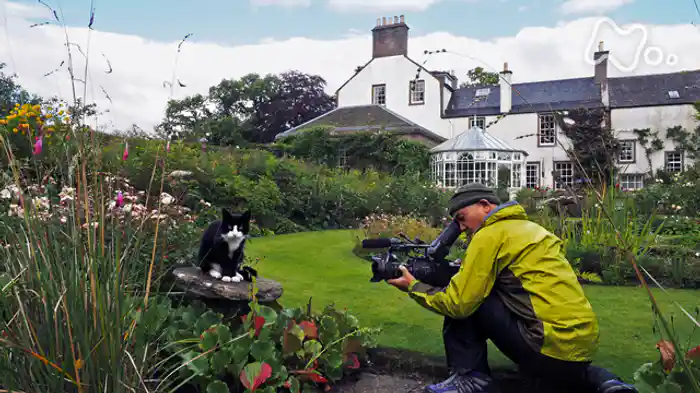 スコットランド