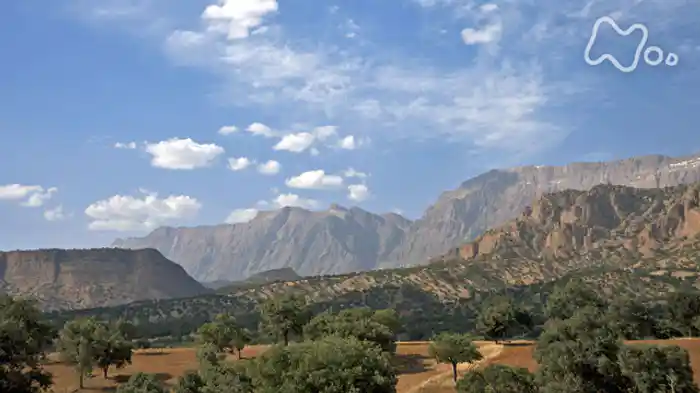 潜入!イラン 炎と緑の大地