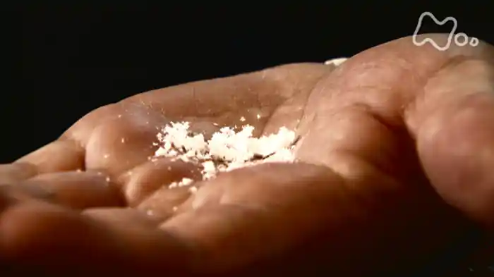 ＮＨＫスペシャル　ネクストワールド　私たちの未来　第２回　寿命はどこまで延びるのか