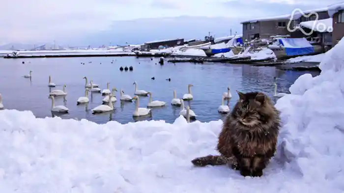 津軽の四季～秋冬特別編～