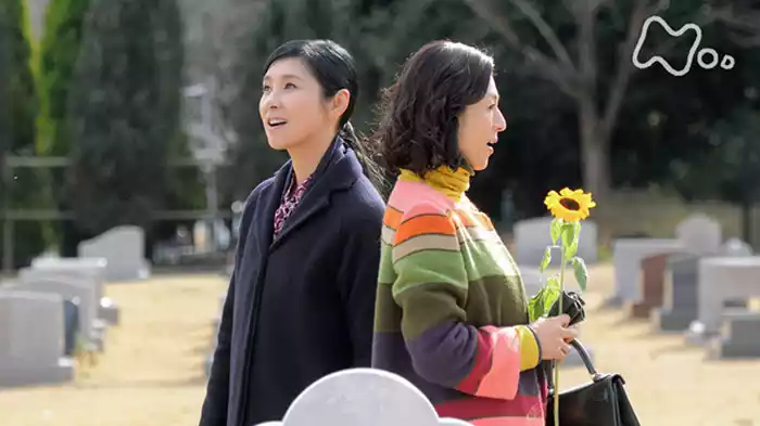「夏子の遺言」（最終回）