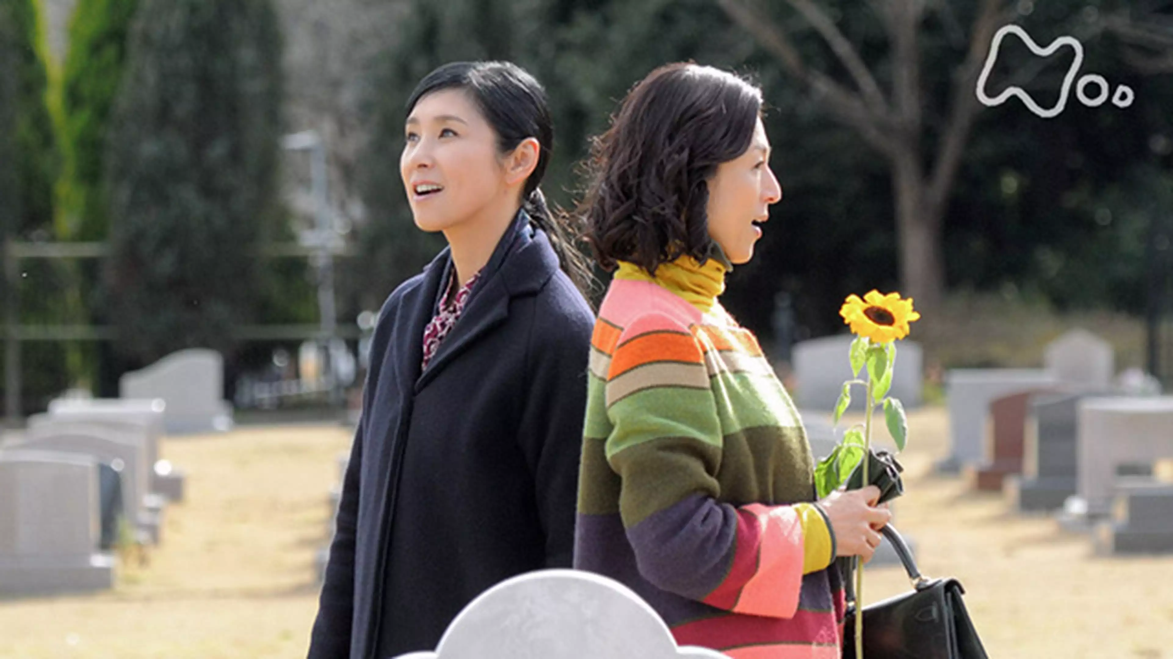 嫌な女 ６ 夏子の遺言 最終回 国内ドラマ 16年 の動画視聴 あらすじ U Next