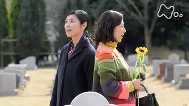 嫌な女 6 夏子の遺言 最終回 国内ドラマ 16年 の動画視聴 あらすじ U Next