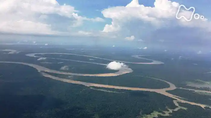 NHKスペシャル 大アマゾン 最後の秘境 第1集「伝説の怪魚と謎の大遡上(そじょう)」