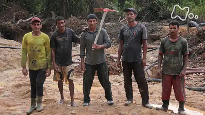 NHKスペシャル 大アマゾン 最後の秘境 第2集「ガリンペイロ 黄金を求める男たち」