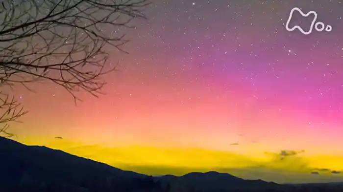 「追跡!赤いオーロラと天の川~ニュージーランド 夜の絶景~」