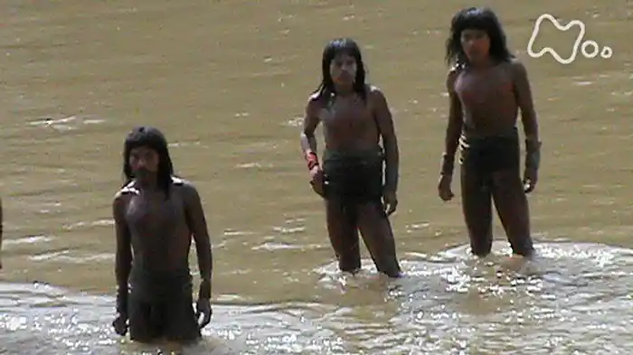 NHKスペシャル 大アマゾン 最後の秘境 第4集「最後のイゾラド 森の果て 未知の人々」