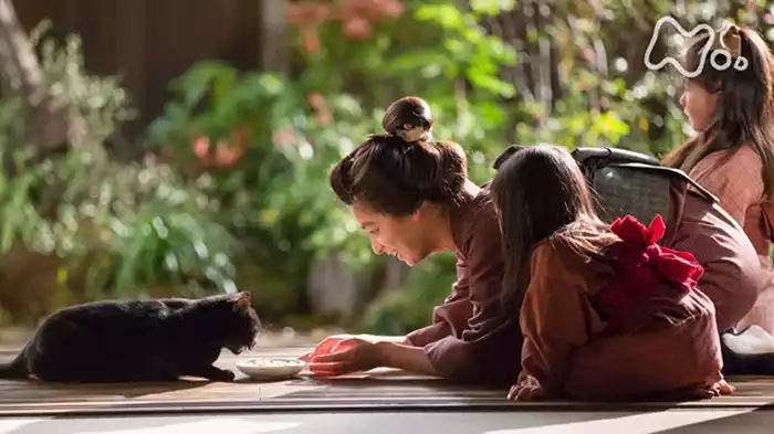 「吾輩は猫である」