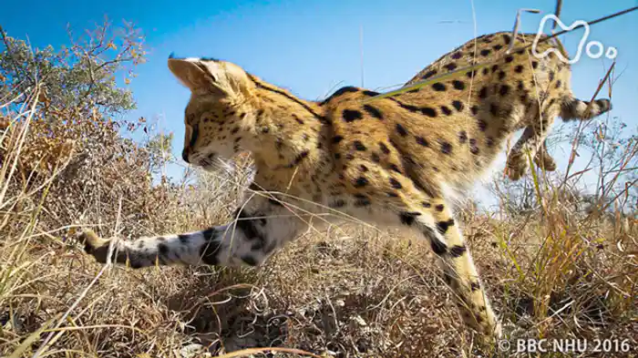 プラネットアースＩＩ　「プロローグ　新たなる地球の旅へ」