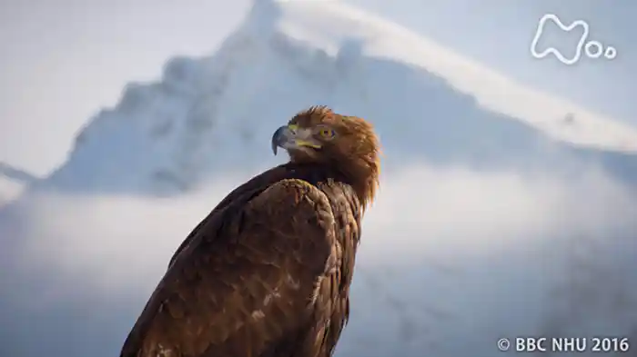 第５集「高山　天空の闘い」