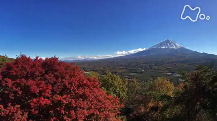 列島誕生　ジオ・ジャパン　第１集「奇跡の島はこうして生まれた」