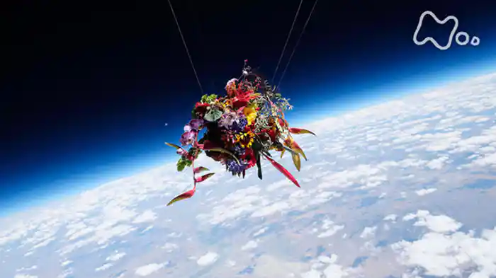 「世界の果てに花を生ける」