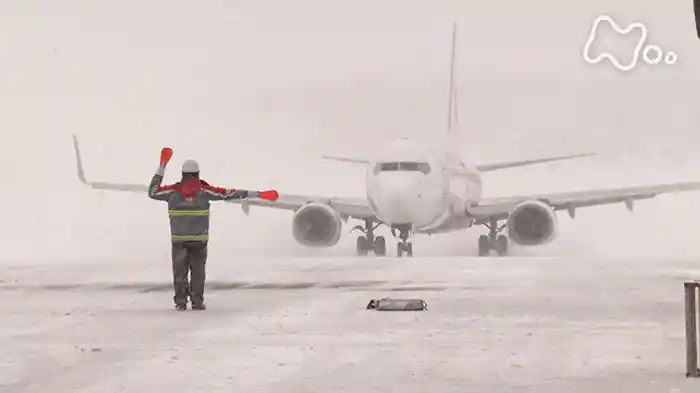 「津軽　雪空港」