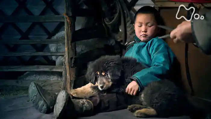 イヌと人　３万年の物語～絆が生んだ最強の友～