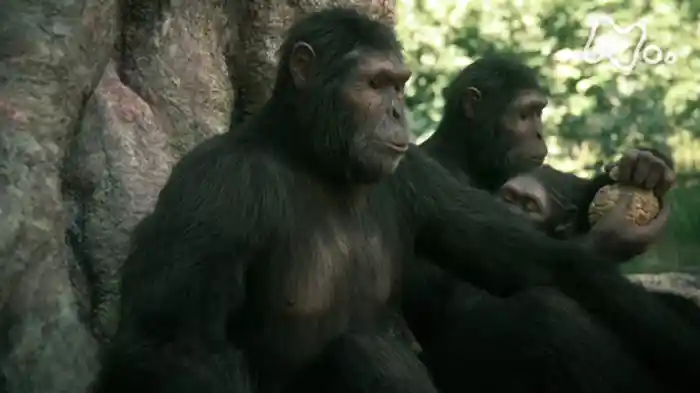 人類誕生 第1集「こうしてヒトが生まれた」