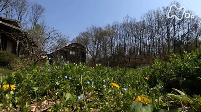 オーレリアンの庭　今森光彦　里山の四季を楽しむ