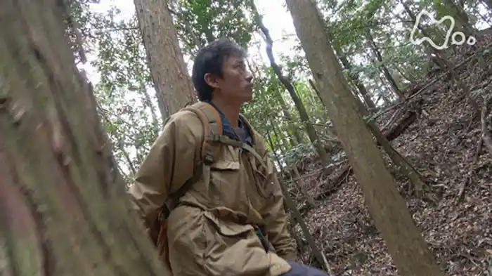 「けもの道　京都いのちの森」