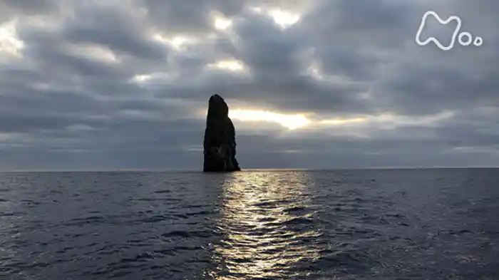 秘島探検 東京ロストワールド 第2集「孀婦(そうふ)岩」