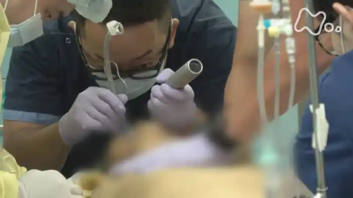 シリーズ 人生100年時代を生きる 第2回「命の終わりと向き合うとき」