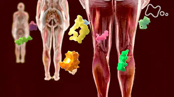 第二集「驚きのパワー!“脂肪と筋肉”が命を守る」