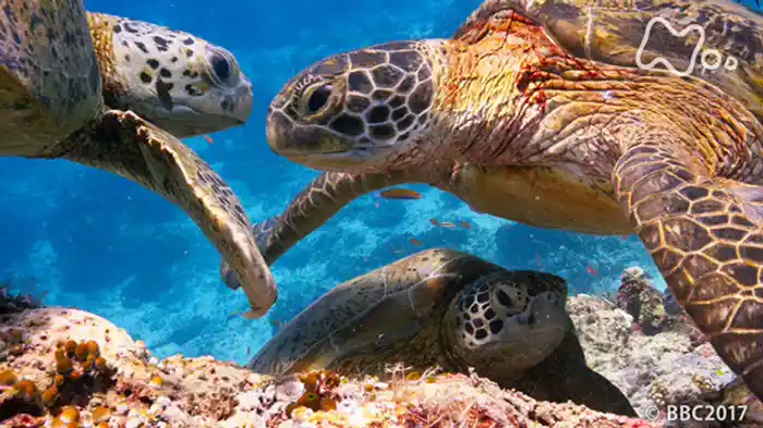 第２集「深海　最後のフロンティア」