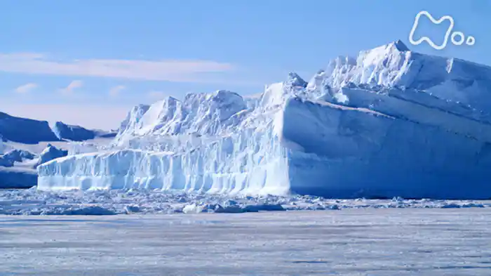 世界初!南極4K生中継 総集編