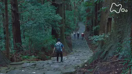 超体感　熊野古道　神秘の旅