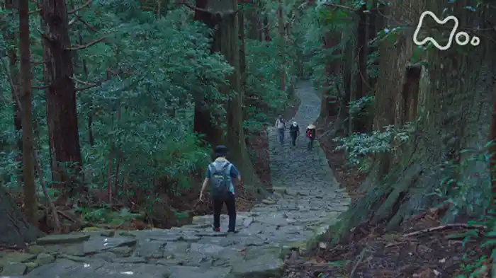 超体感 熊野古道 神秘の旅