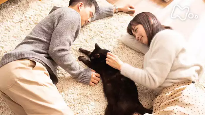 捨て猫に拾われた男