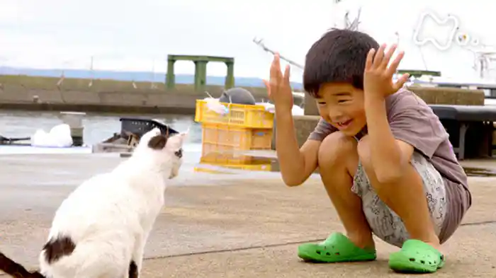 「猫島ワールド」