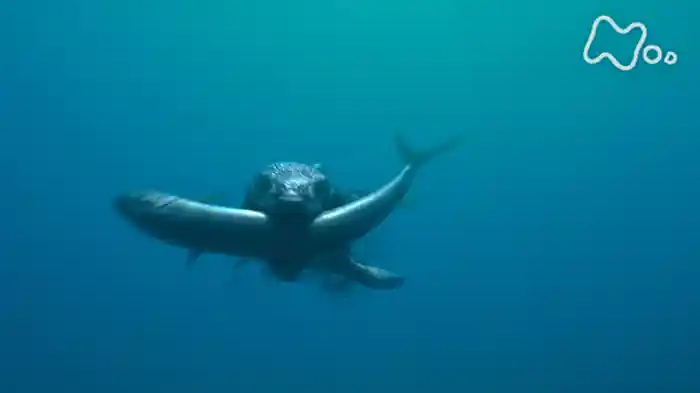 恐竜超世界 第2集「史上最強!海のモンスター」