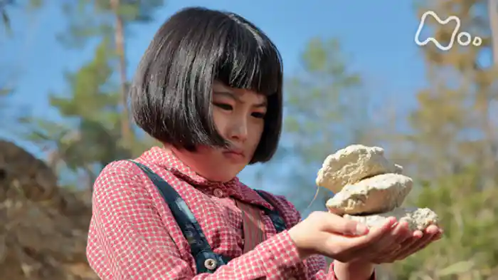 「はじめまして信楽（しがらき）」
