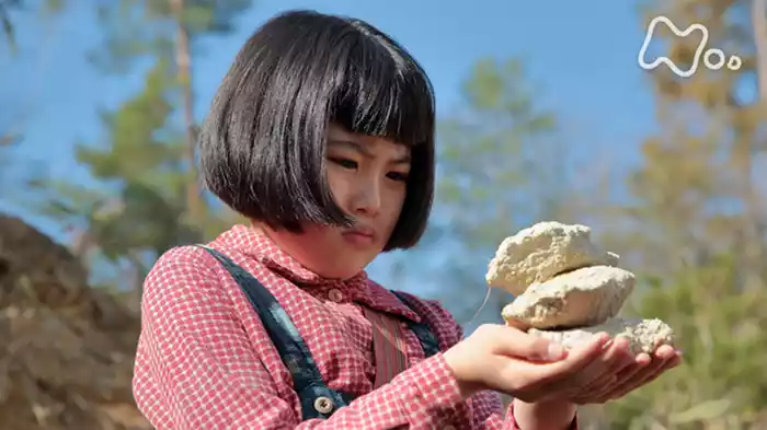 「はじめまして信楽（しがらき）」