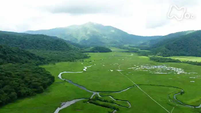 絶景カメラ 尾瀬