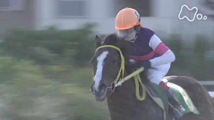 「ママさんジョッキー 戦いの日々」