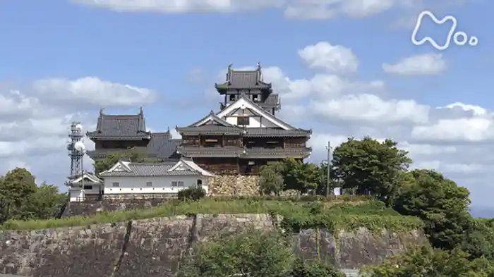 「明智光秀の城」