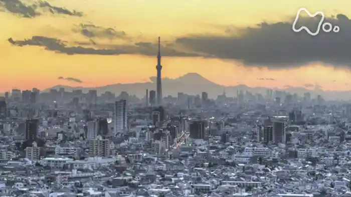 シリーズ 体感 首都直下地震 「終わりの見えない被災」