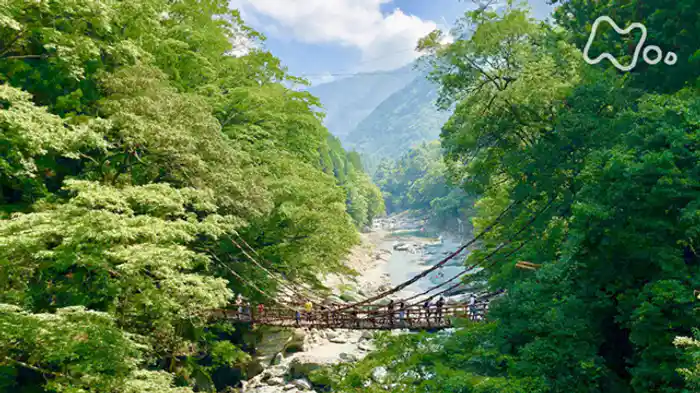 列島誕生　ジオ・ジャパン２　（２）「列島大分裂」