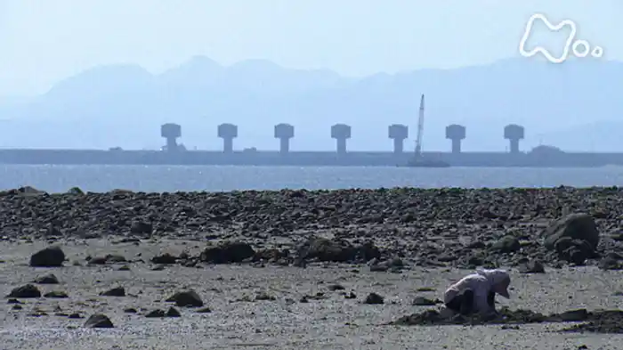 「引き裂かれた海～長崎・国営諫早湾干拓事業の中で～」