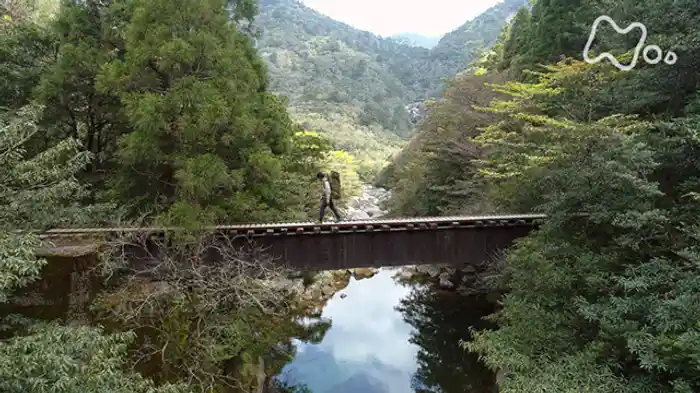 「屋久島　太忠岳～千年杉の森と人の営み～」