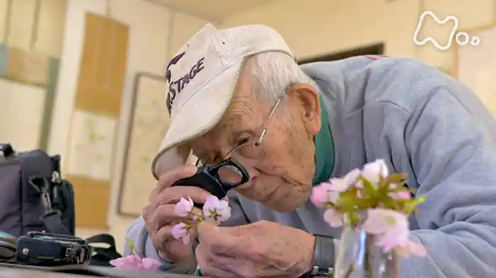 「ひなたの氷　九二歳、桜守の遺言」