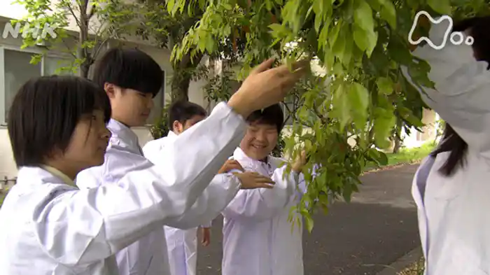 「心が躍る生物教室」