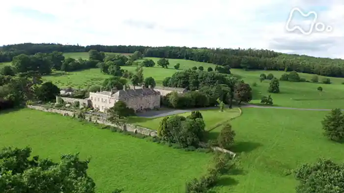 「早春 ラッパズイセンの花咲く頃」