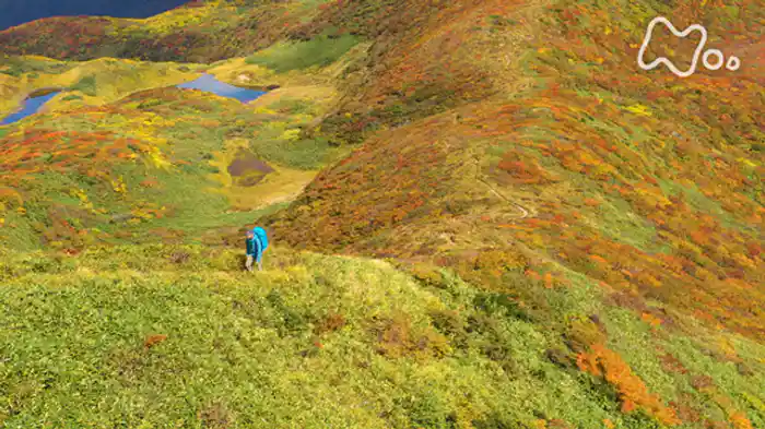 「焼石岳～みちのく　波打つ紅葉の山へ～」