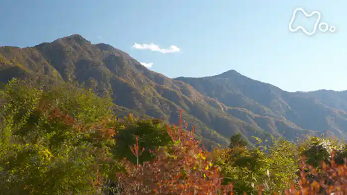 「雲取山～錦に輝く潤いの森～」