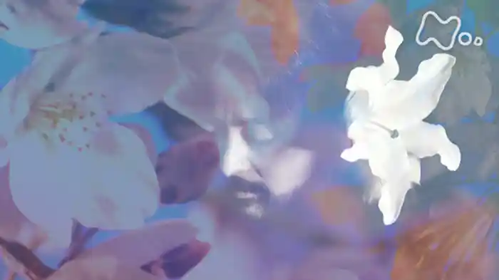 (2)「ウメ」10分版