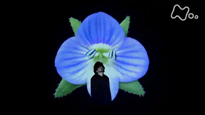 (2)「オオイヌノフグリ」10分版