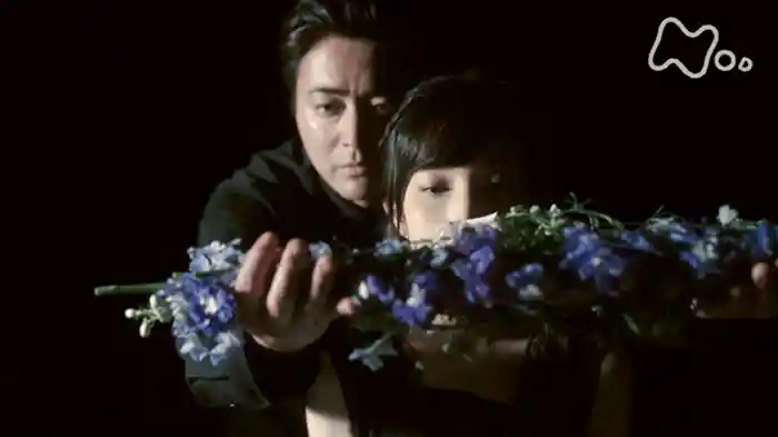 (3)「カラスウリ」10分版